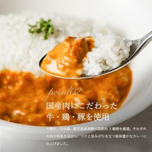 お中元 2026 ギフト 送料無料 グルメ 内...の詳細画像5
