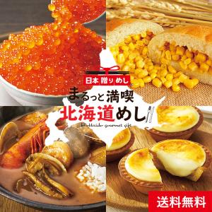 お年賀 ギフト  日本贈りめし まるごと1日北海道 メーカー直送 セット 詰合せ 詰め合わせ 御年賀 LTDU＊d-M-21-1202-517＊