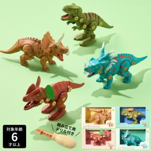 F.O.TOYBOX  DIY TOY DINOS / 恐竜 組み立て 知育 玩具 おもちゃ 男の子のおもちゃ スティラコサウルス ディロフォサウルス ティラノサウルス トリケラトプス｜somurie