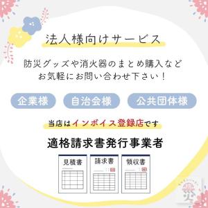 消火器 10型 1本用 ボックス スタンド 業...の詳細画像5