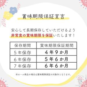 井村屋 えいようかん 5本入 防災グッズ 防災...の詳細画像3