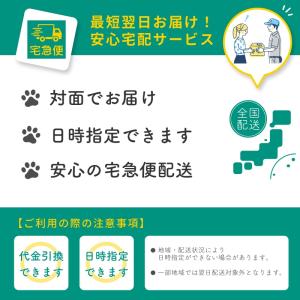 井村屋 えいようかん 5本入 防災グッズ 防災...の詳細画像4