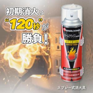 消火スプレー 消火器 消火器スプレー 火消し ス...の商品画像
