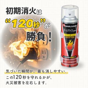 消火スプレー 消火器 消火器スプレー 火消し ...の詳細画像1