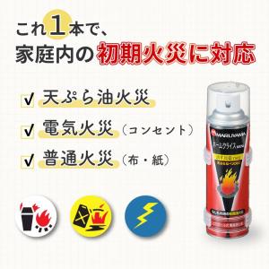 消火スプレー 消火器 消火器スプレー 火消し ...の詳細画像3