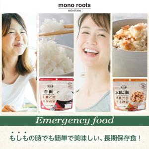 非常食セット 非常食 保存食 保存食セット 防...の詳細画像1