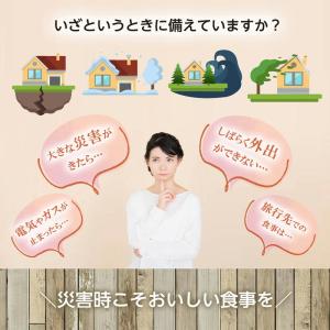 非常食セット 非常食 保存食 保存食セット 防...の詳細画像2
