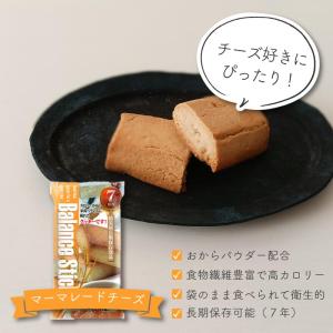 非常食セット 非常食 お菓子 保存食 保存食セ...の詳細画像3