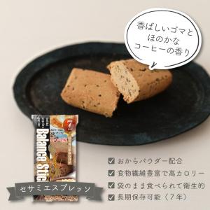 非常食セット 非常食 お菓子 保存食 保存食セ...の詳細画像4
