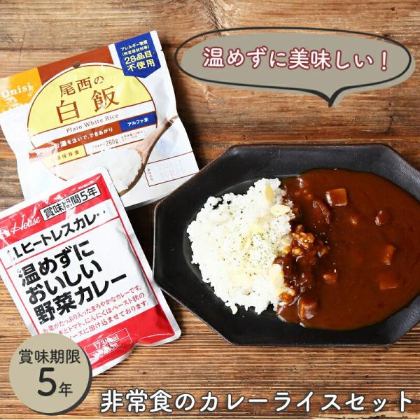 【P5倍1/26まで】非常食 保存食 非常食セット カレーセット 防災 ハウス カレー  アルファ米...