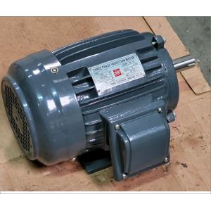 Mindong Yanan Type 143T 3相誘導モーター、1HP 0.75kW 230/460V IP 44｜sonanoa