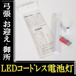 LEDコードレス電池灯ベテラン店長のおすすめ商品毎年、一番人気のお役立グッズです。【G74YG99431】｜soneningyo