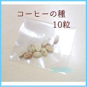 SONIA(ソニア) コーヒーの種 10粒の商品画像