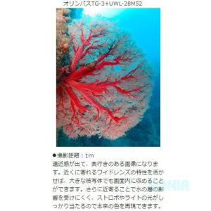 fisheye(フィッシュアイ) 21063 ...の詳細画像1