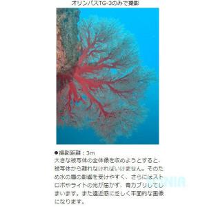 fisheye(フィッシュアイ) 21063 ...の詳細画像3