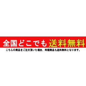 AQUALUNG(アクアラング) 5.5mm ...の詳細画像5