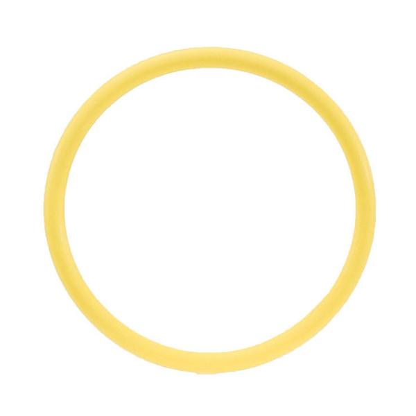 INON（イノン） ポート/EXT.リング用Oリング （10点セット）