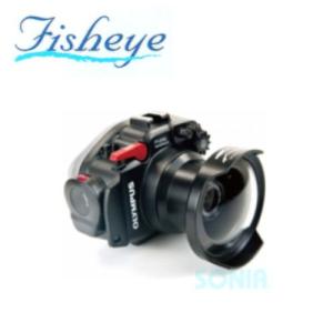 ニコン（Nikon） 《難有品》Nikon モータードライブ MD-12 : カメラ