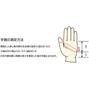 即納サイズあり AQUALUNG(アクアラング...の詳細画像2