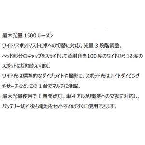 9月中旬入荷 送料無料 TOVATEC(トバテ...の詳細画像4