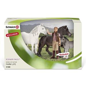 乗り物おもちゃ Schleich Fell Pony Family Scenery Pack｜sonicmarin