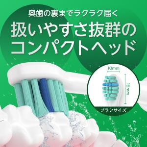 【東京都内の歯科医院にて取扱い開始】フィリップ...の詳細画像4