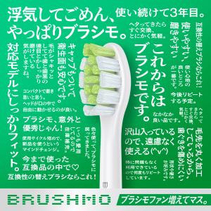【東京都内の歯科医院にて取扱い開始】フィリップ...の詳細画像5