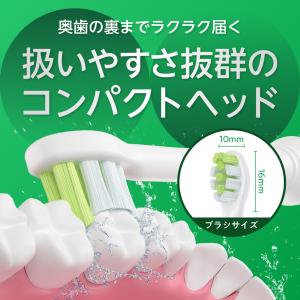 【東京都内の歯科医院にて取扱い開始】フィリップ...の詳細画像5