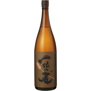 麦焼酎 一粒の麦 25度 1800ml【西酒造 麦焼酎】