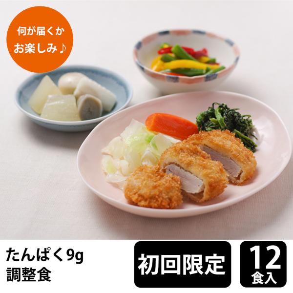【初回購入限定】 メディカルフーズ たんぱく調整食9g 試食12食セット