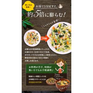 国産 乾燥 カット 野菜 ミックス 3種から選...の詳細画像5