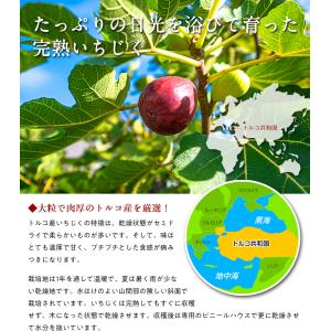 無添加 砂糖不使用 完熟 ドライいちじく 16...の詳細画像1