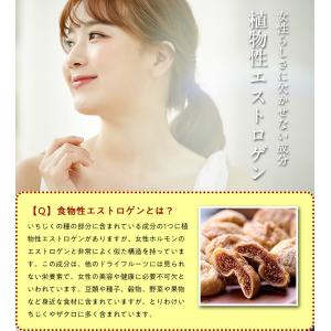 無添加 砂糖不使用 完熟 ドライいちじく 16...の詳細画像4