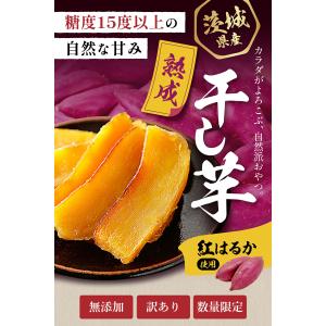 送料無料 1,000円ポッキリ!更にまとめ買い...の詳細画像1