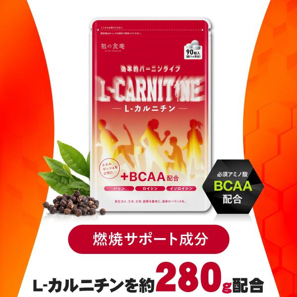 燃焼系サポートサプリ L-カルニチン＋BCAA配合！ 30日分 メール便 送料無料 ダイエット サプ...