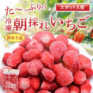 最安値挑戦！【訳あり】京丹後産 朝採れ 無添加 調理用 冷凍いちご 章姫 (あきひめ) 1kg いちご イチゴ 苺 国産 果物 フルーツ フローズン 爆買
