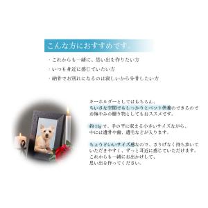 遺骨カプセル 遺骨 キーホルダー 名入れ アク...の詳細画像4