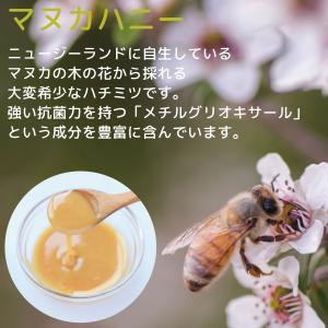 キャンディ マヌカハニー MGO573+ 乳酸...の詳細画像3