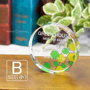 SILVER OHNO アクセサリー入れ フェリス女学院大学卒業記念 ペーパーウェイト 文鎮 DW-1A(大) 名入れ クリスタル 周年記念 創立