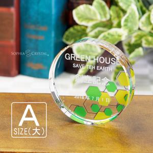 ペーパーウェイト 文鎮 DW-1B(小) 名入れ クリスタル 周年記念 創立