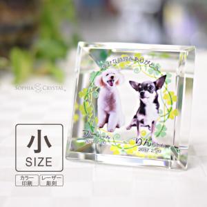 ペット 位牌 KP-16(小) 写真 カラー 仏具 ペットメモリアル
