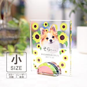 ペット 位牌 KP-18(小) 写真 カラー 仏具 ペットメモリアル