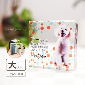 ペット 位牌 思い出 クリスタル KP-25A（大） 写真