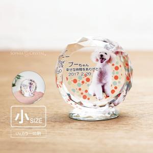ソフィア　sophia 受注生産　記念品 30th Anniversary SOPHIA TOUR 2025 “Girls kissing the future