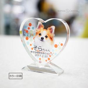 記念品のソフィアクリスタル - Yahoo!ショッピング