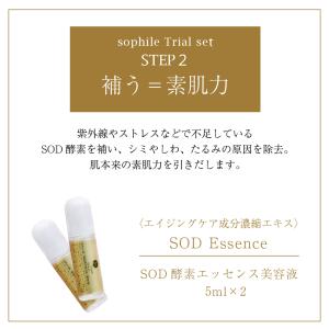 <正規品>10日間トライアルセット 朝用洗顔 ...の詳細画像2