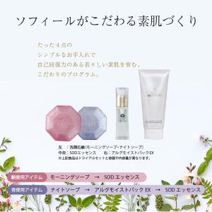 <正規品>10日間トライアルセット 朝用洗顔 ...の詳細画像5