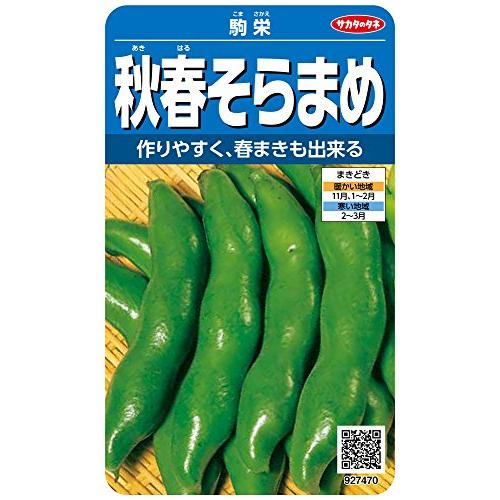 サカタのタネ 実咲野菜7470 秋春そらまめ 駒栄 00927470 青