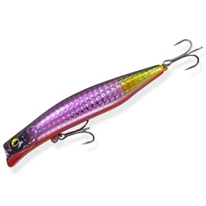 ガイア エリア10 問屋限定 1091カラー (メール便可) エリテン