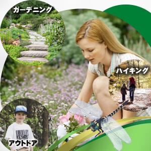 オニヤンマ 4匹入り リアルおにやんま 虫除け...の詳細画像5